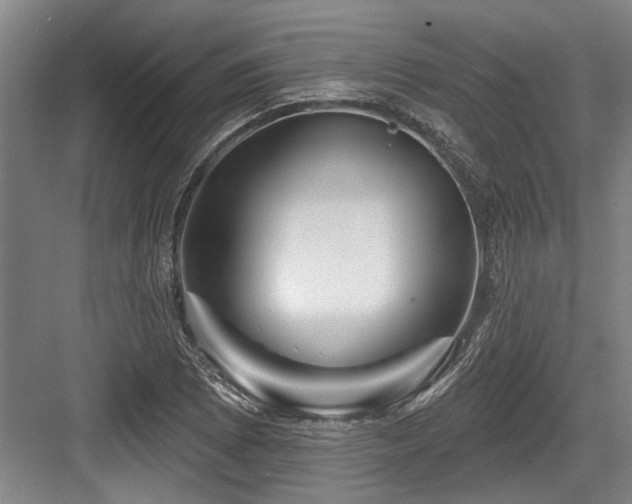 X0000084021073200702161221