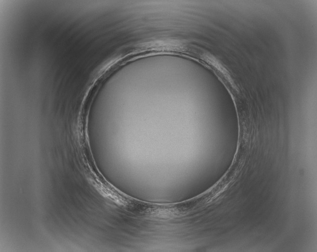 X0000084021074200702161221