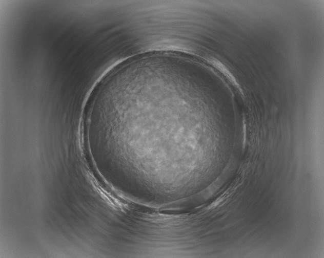X0000084021076200702161221