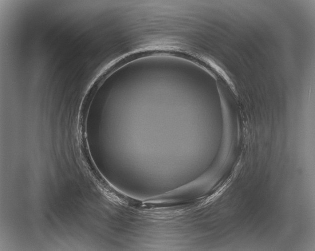 X0000084021077200702161221