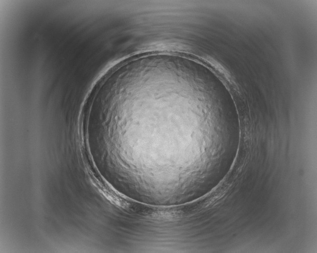 X0000084021078200702161221