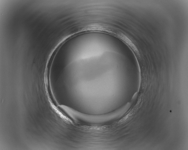 X0000084021084200702161221