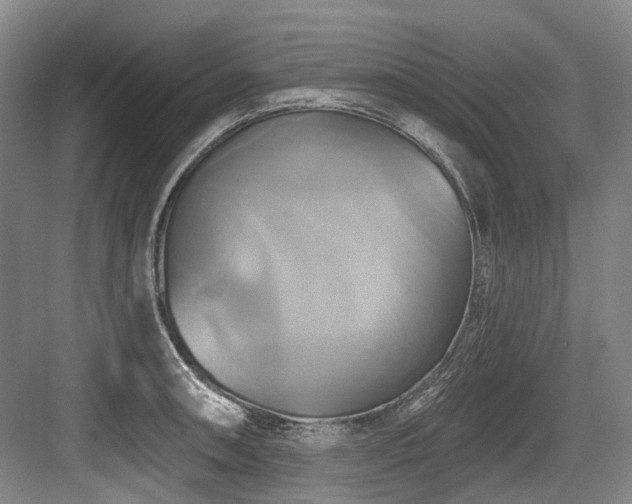 X0000084021090200702161221