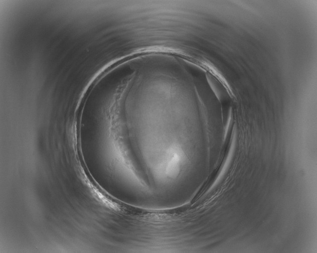 X0000084021092200702161221