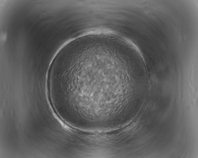 X0000084021103200702161221