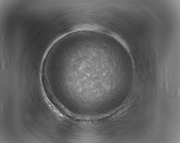 X0000084021104200702161221
