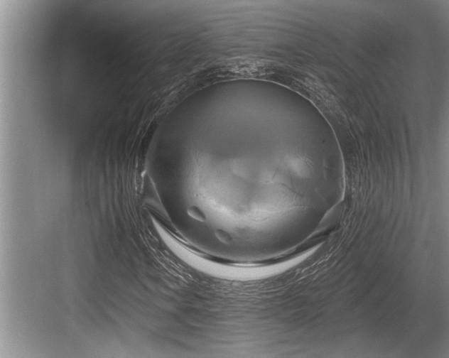 X0000084021106200702161220