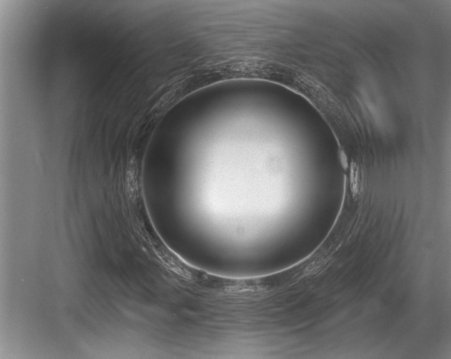 X0000084021107200702161220
