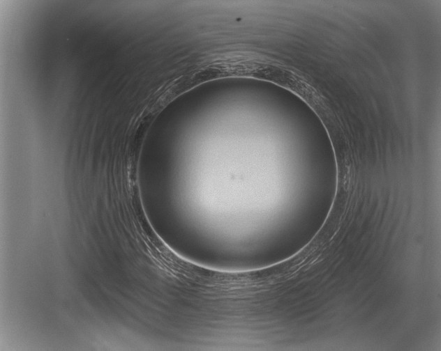 X0000084021108200702161220