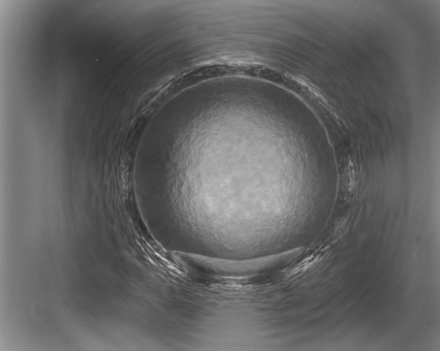 X0000084021110200702161220