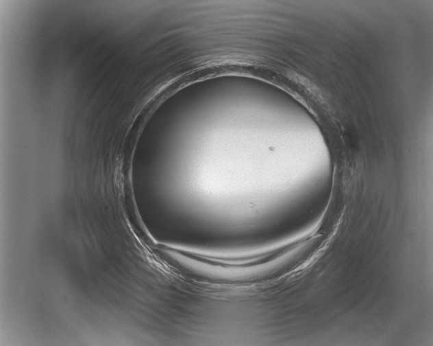 X0000084021113200702161220