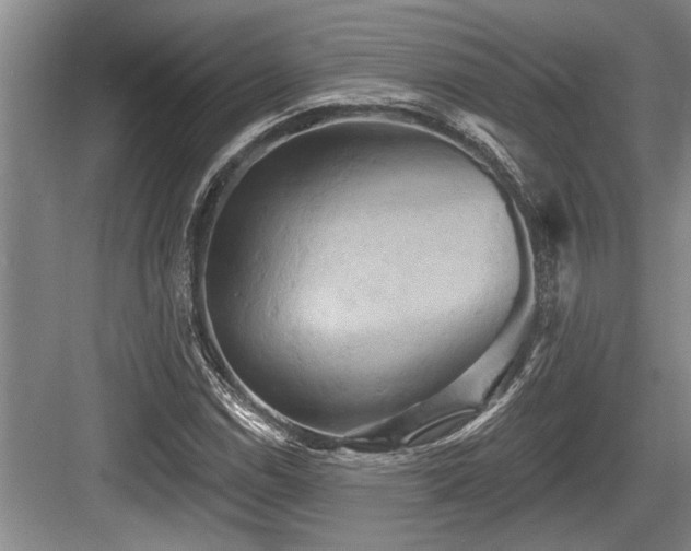 X0000084021114200702161220