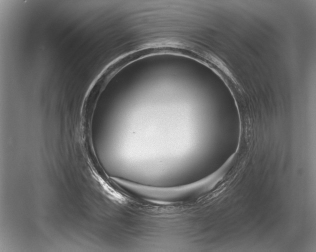 X0000084021116200702161220