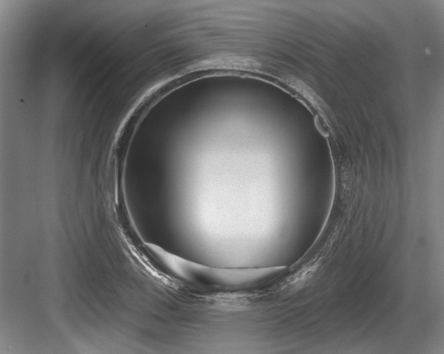 X0000084021123200702161220