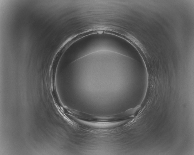 X0000084021127200702161221