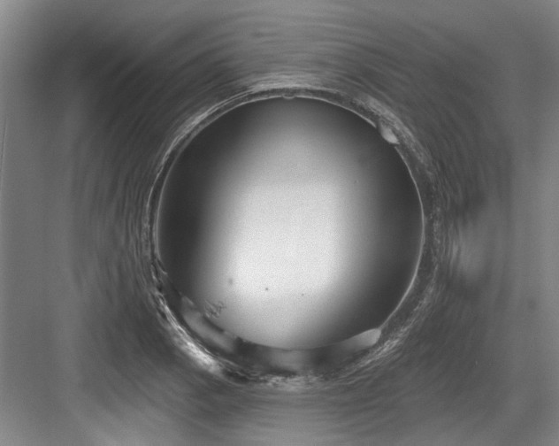 X0000084021129200702161221