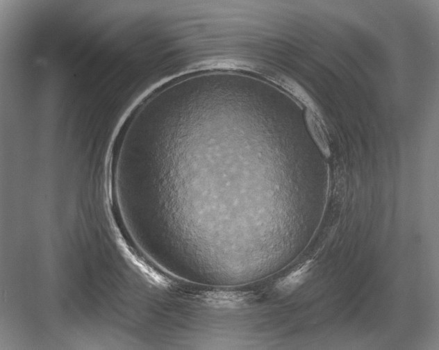 X0000084021132200702161221