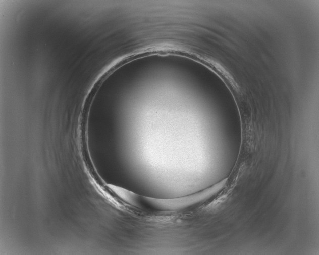 X0000084021134200702161221