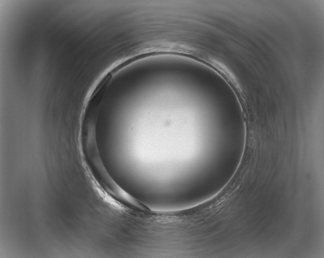 X0000084021136200702161221