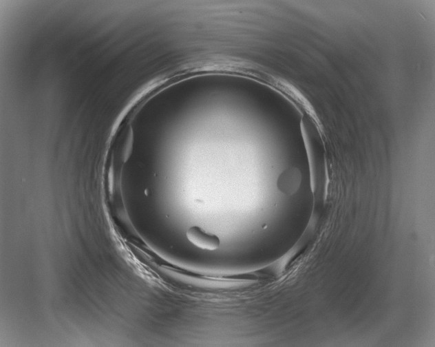 X0000084021138200702161221