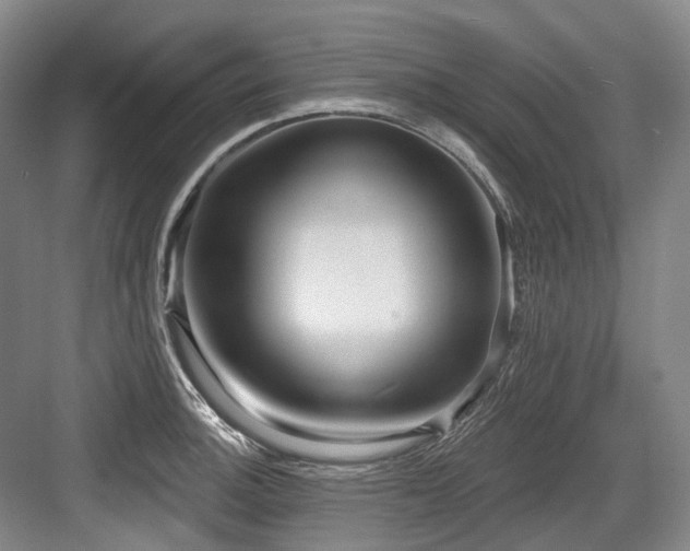 X0000084021140200702161221