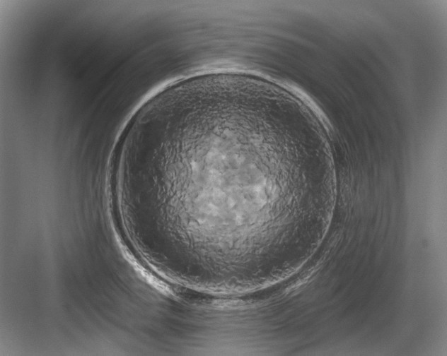 X0000084021142200702161221