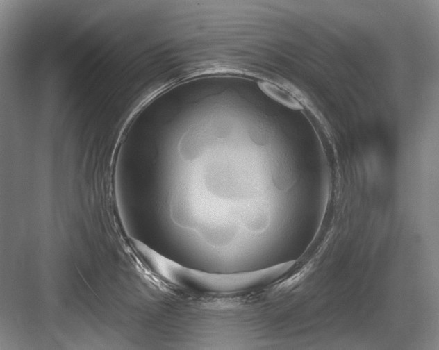 X0000084021145200702161221