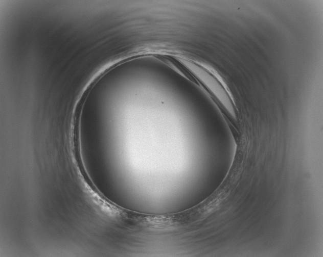 X0000084021147200702161221