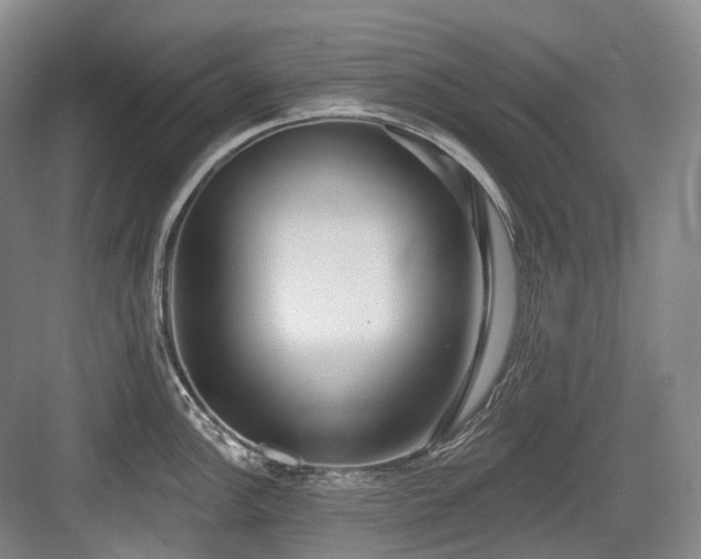 X0000084021148200702161221