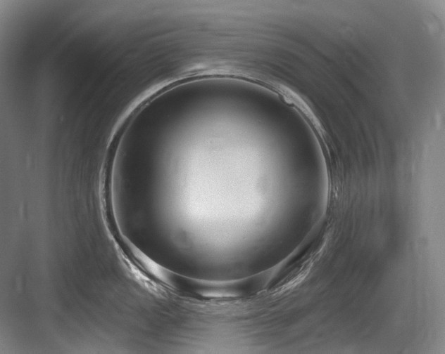 X0000084021149200702161221
