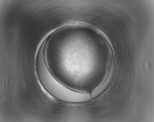 X0000084021152200702161221