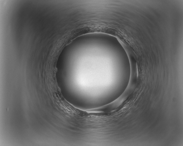 X0000084021153200702161220