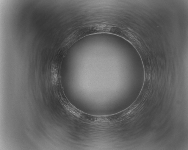 X0000084021154200702161220