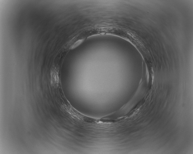 X0000084021155200702161220