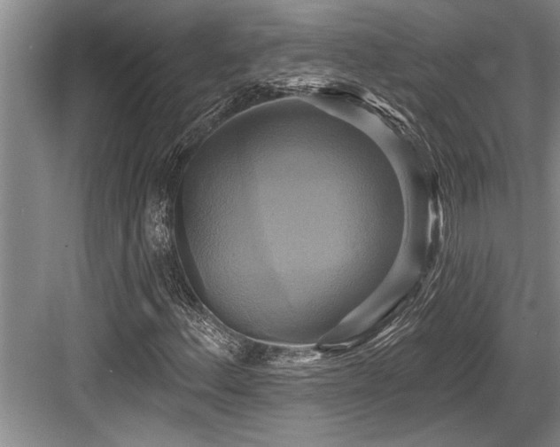 X0000084021156200702161220