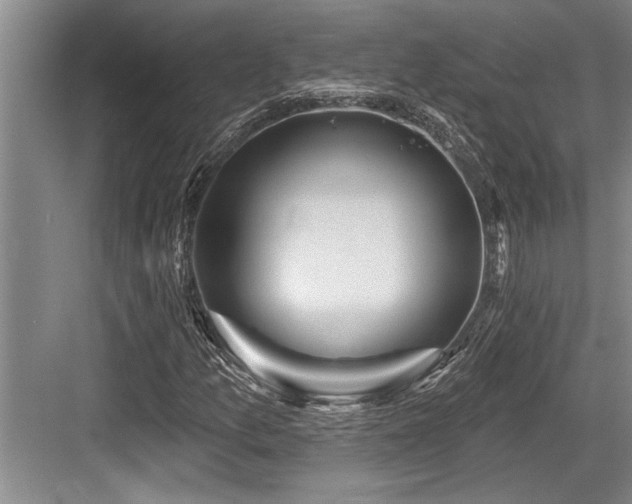 X0000084021157200702161220