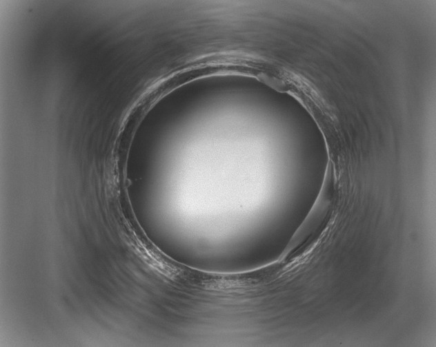 X0000084021164200702161220