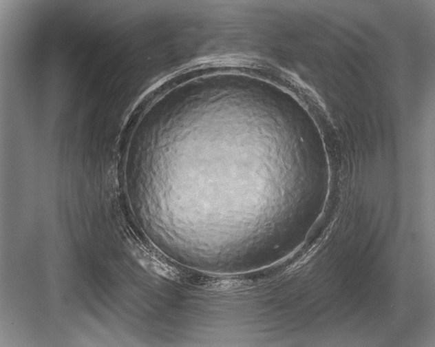 X0000084021166200702161220