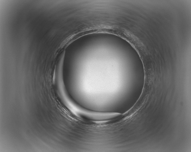 X0000084021169200702161220