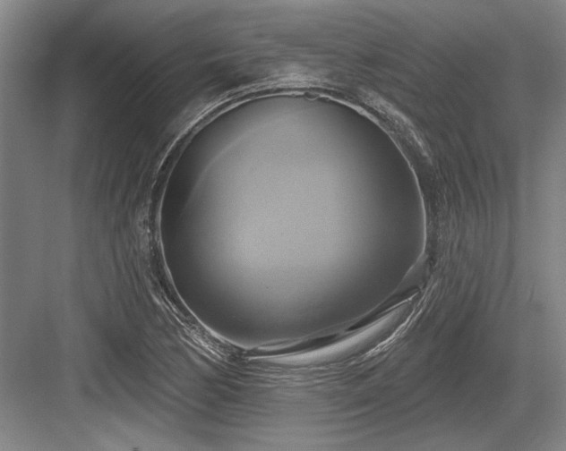 X0000084021170200702161220