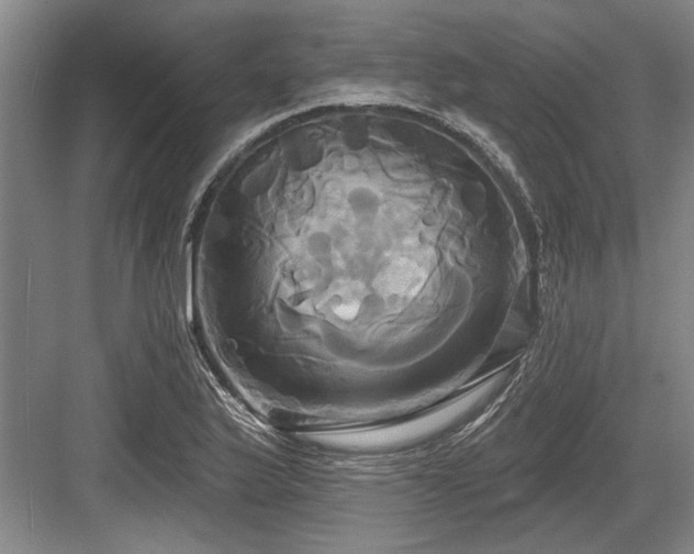 X0000084021175200702161220