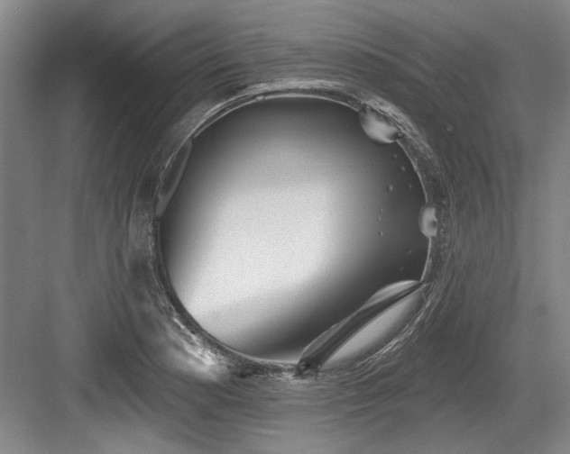 X0000084021177200702161220
