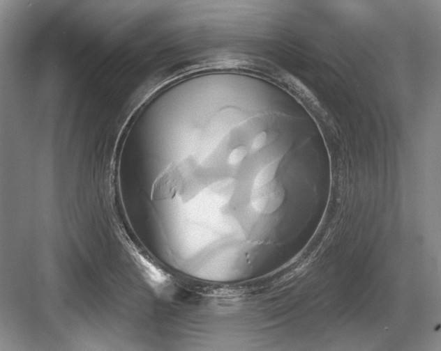 X0000084021178200702161220