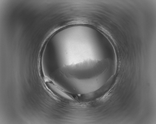 X0000084021179200702161220