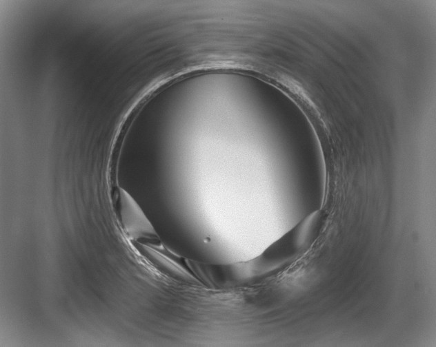 X0000084021181200702161220