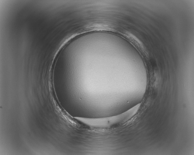 X0000084021182200702161220
