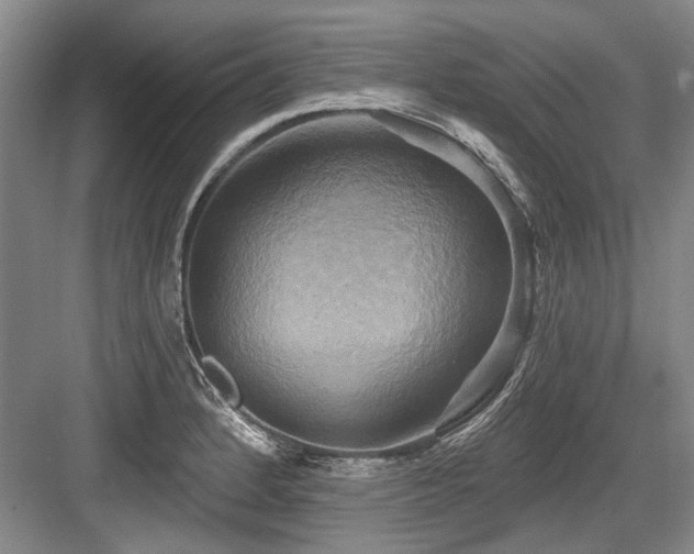 X0000084021184200702161220