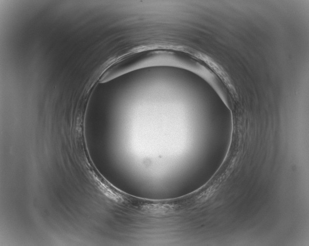 X0000084021185200702161220