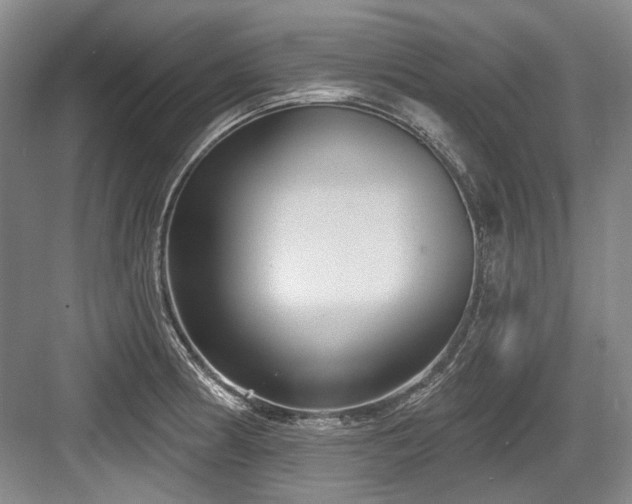 X0000084021186200702161220