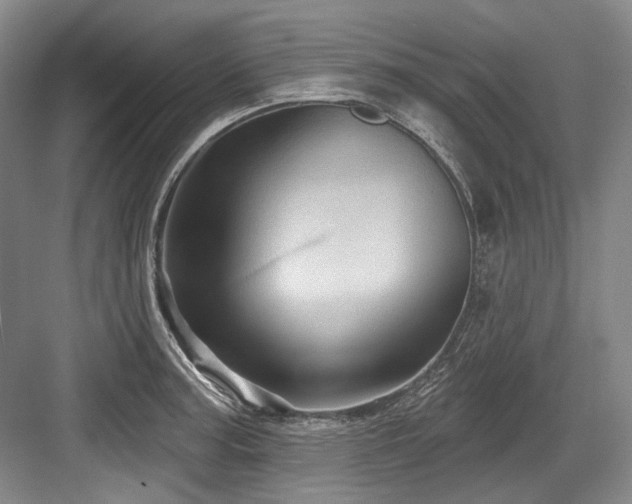 X0000084021187200702161220